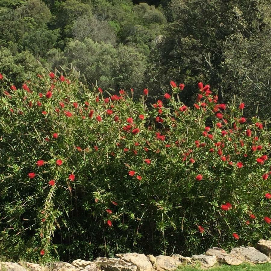 Spartaco Eco Retreat San Pantaleo Sole Ruiu Luaran gambar