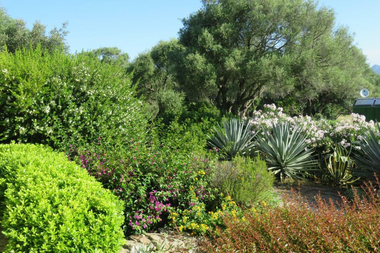 Spartaco Eco Retreat San Pantaleo Sole Ruiu Luaran gambar
