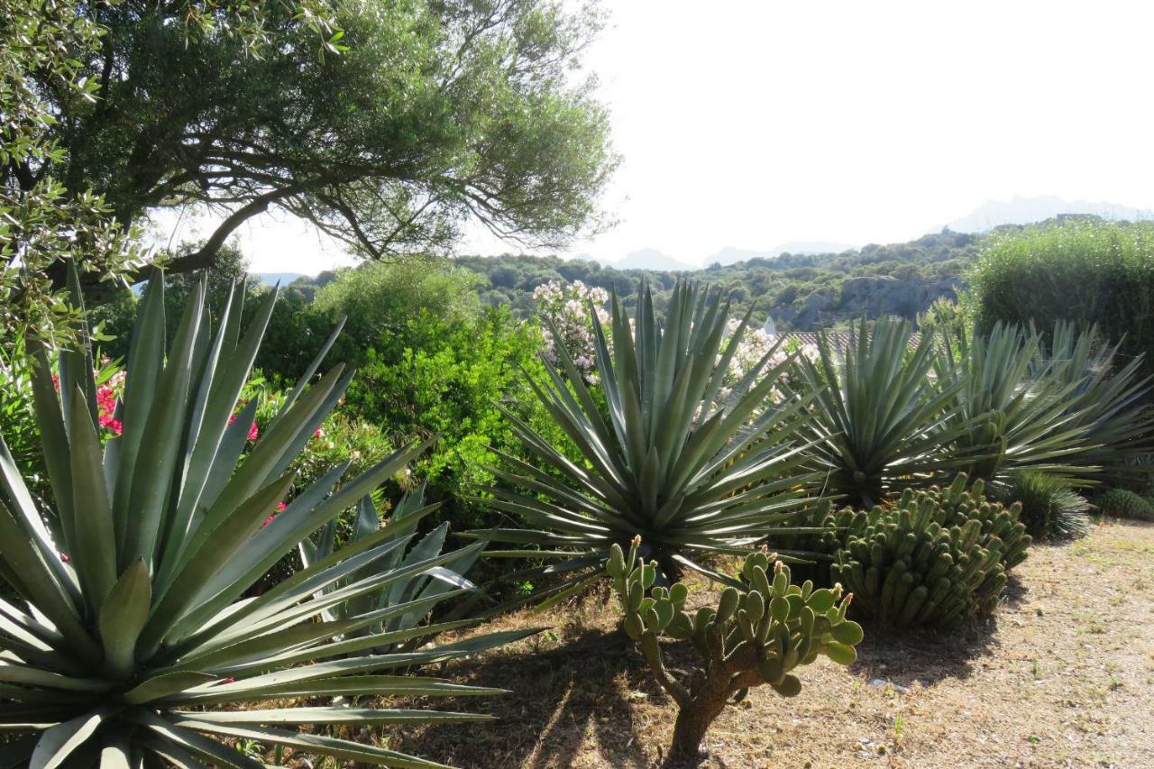 Spartaco Eco Retreat San Pantaleo Sole Ruiu Luaran gambar